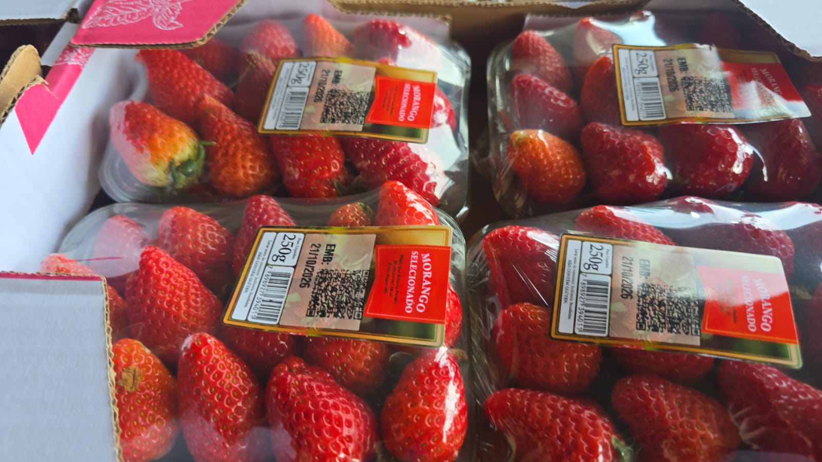 Bandejas de morango selecionado 250 g