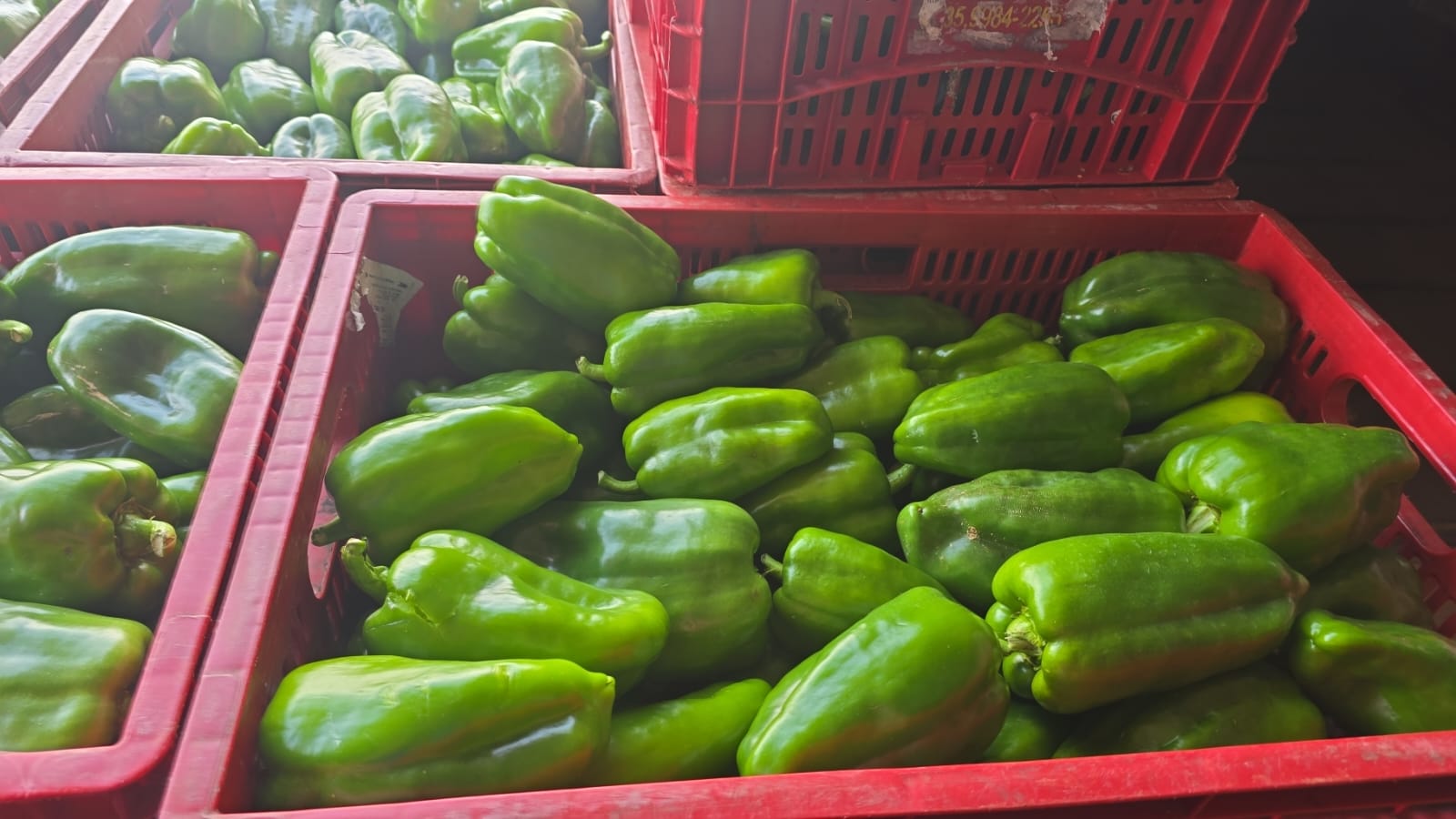 Pimentão verde em caixa